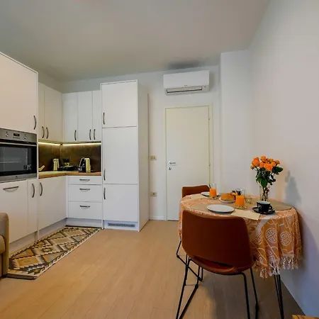 Modern And Stylish With Terrace Rovinj